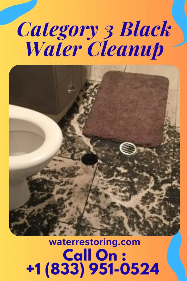 Category 3 Black Water Cleanup in Sparland, IL