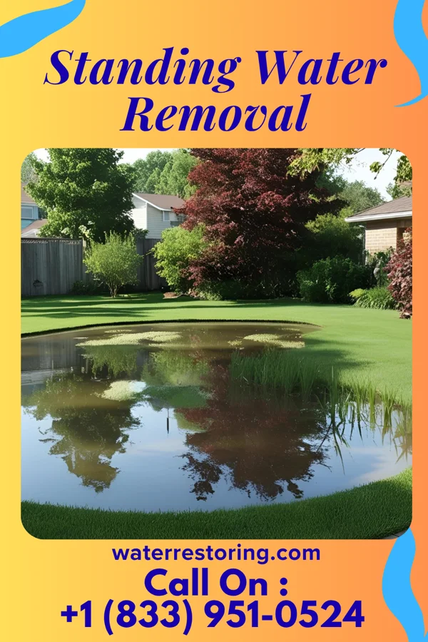 Standing Water Removal in Sparland, IL
